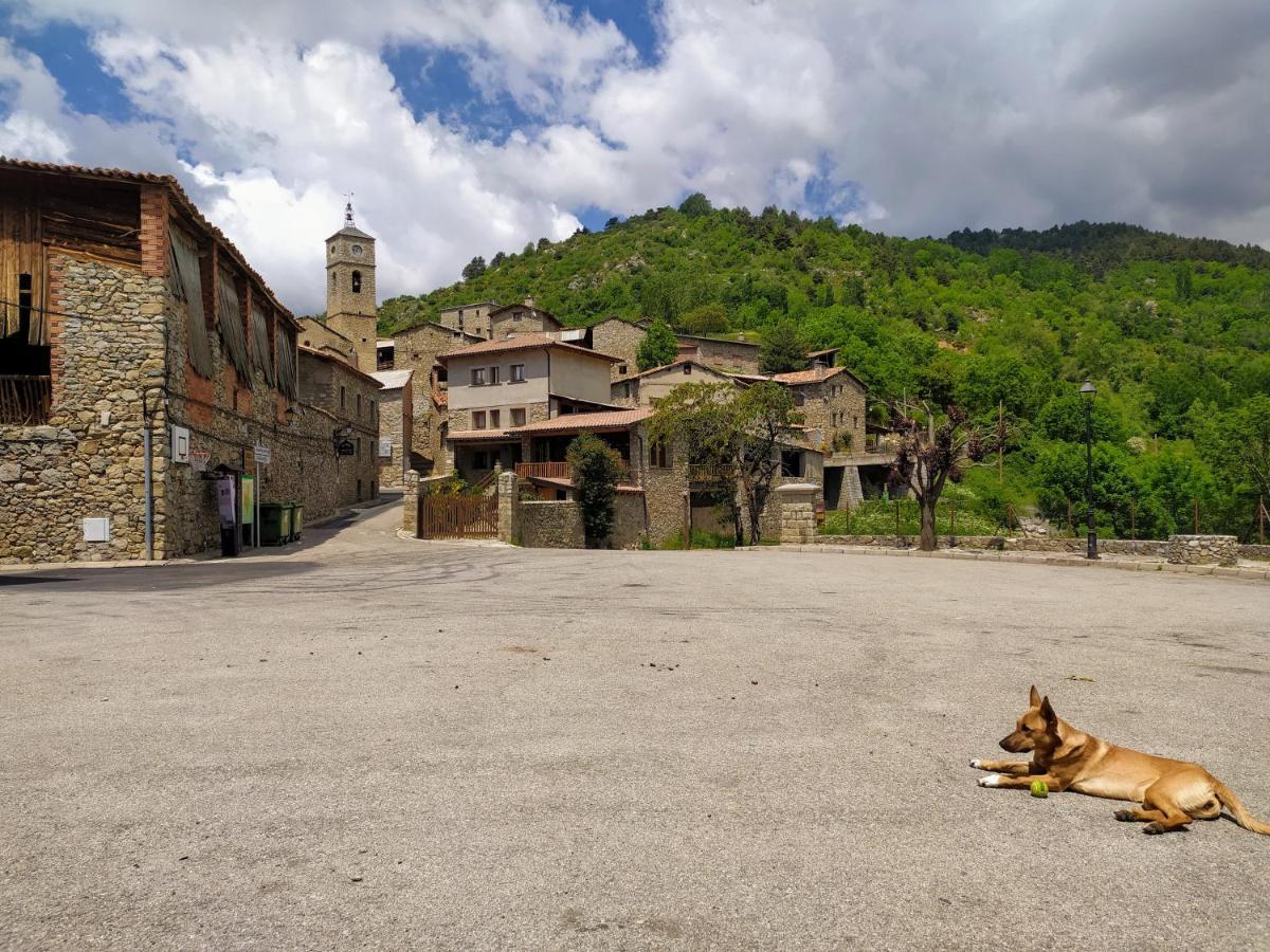 Hostal Pas De La Pera Aransá エクステリア 写真